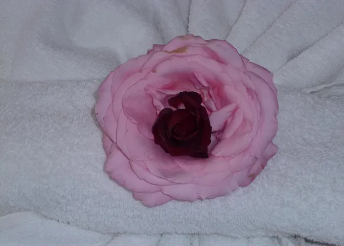 Tourist Complex Rose Village 2* ساني بيتش