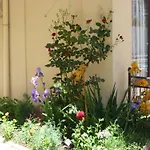 Tourist Complex Rose Village 3* サニービーチ