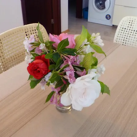 Tourist Complex Rose Village 2*