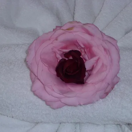 Tourist Complex Rose Village 2* サニービーチ