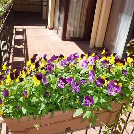 מלון דירות Tourist Complex Rose Village