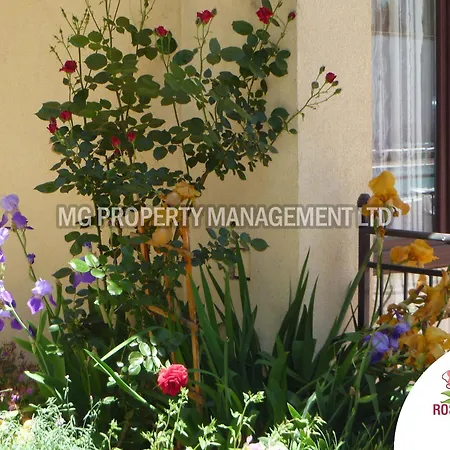 Tourist Complex Rose Village サニービーチ