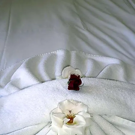 Tourist Complex Rose Village 3* Słoneczny Brzeg