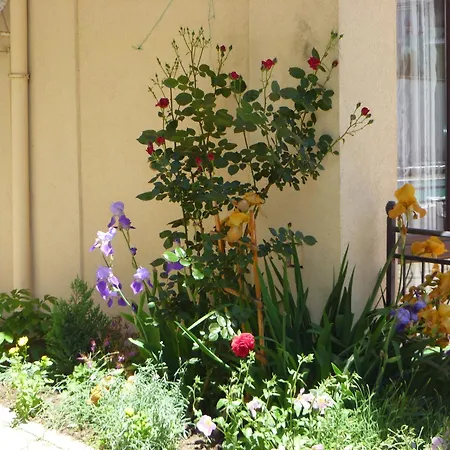 Tourist Complex Rose Village 2* Slăntjev Brjag